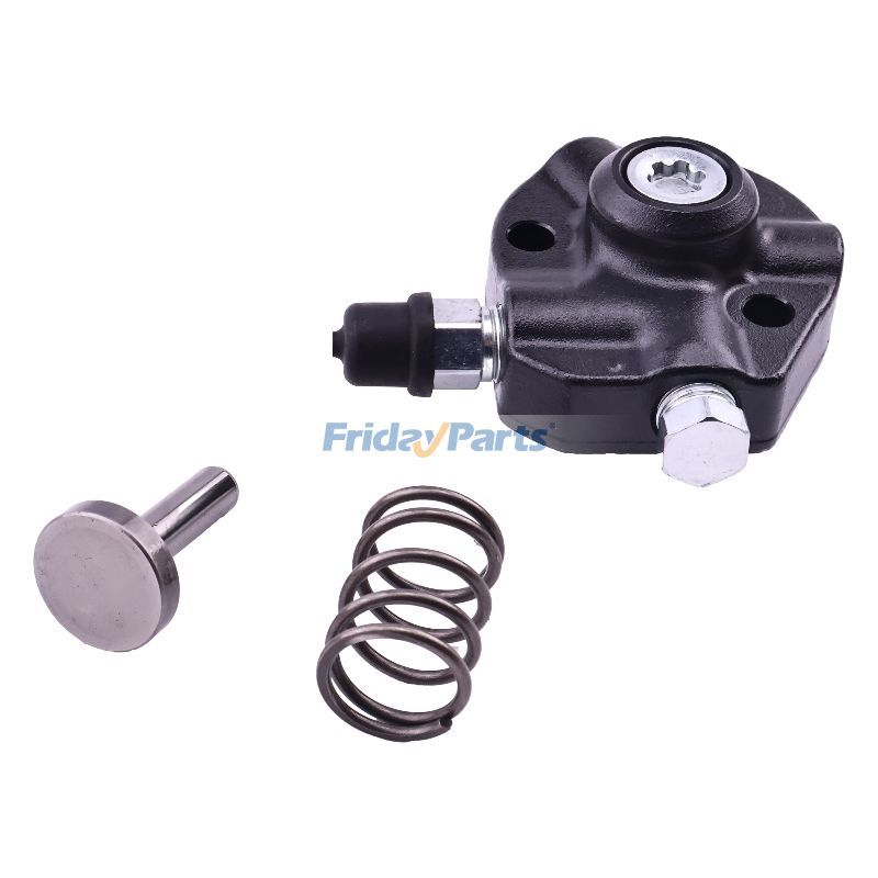 Fuel Injection Pump Plunger in Stock in China