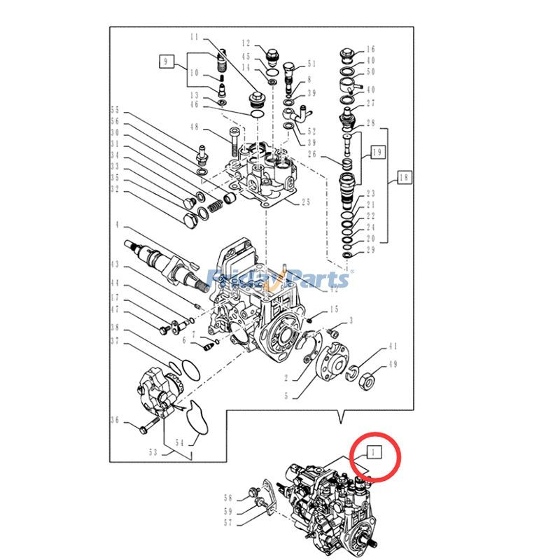 Fuel Injection Pump Kobelco for Excavator