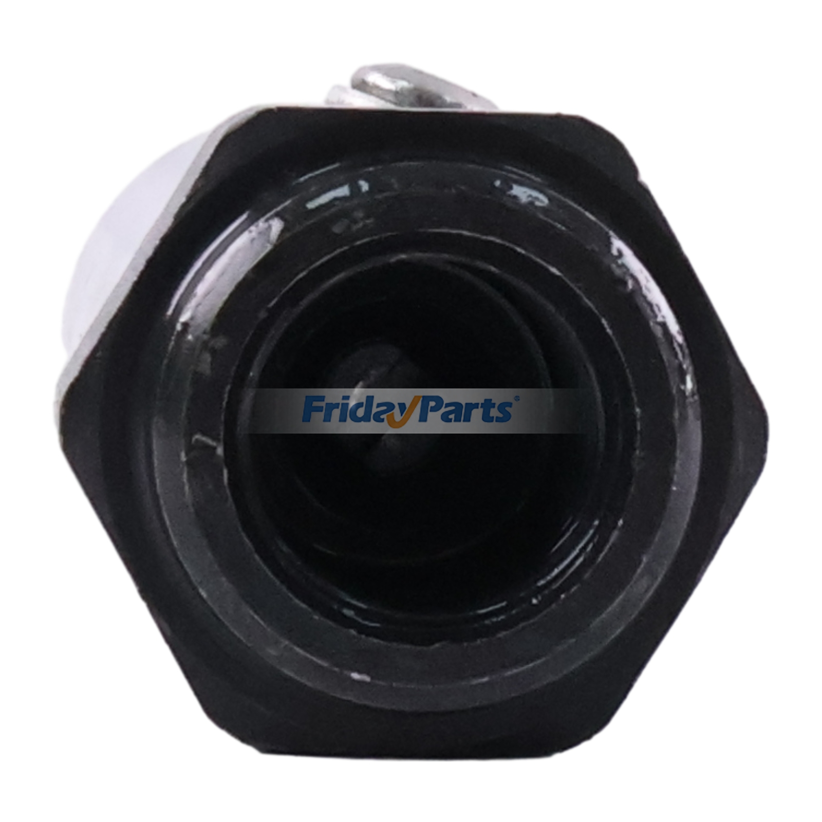 Inyector de combustible 100-7556 20R-5169 para motor Caterpillar CAT 3406C 3406B para Motor  FridayParts