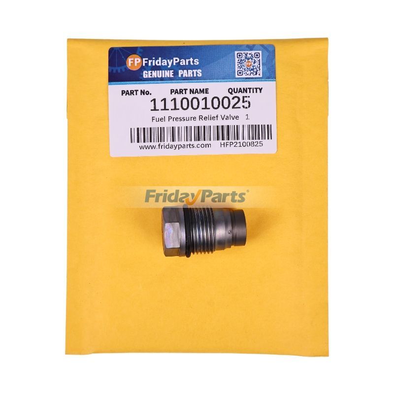 Fuel Pressure Relief Valve 1110010025 for Bosch