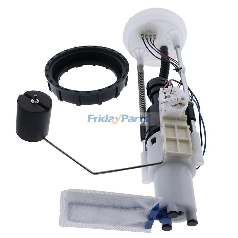 Fuel Pump Assembly in Stock in China,USA,Germany