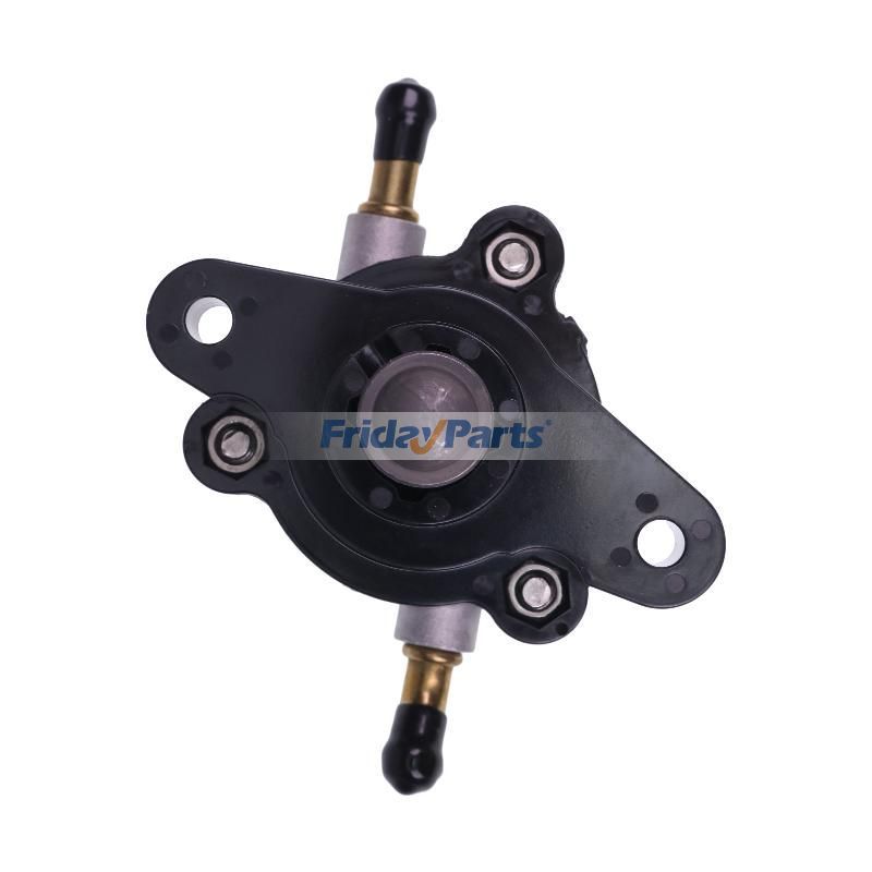 Pompe à carburant pour Moteur 