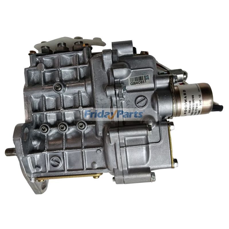Fuel Pump in Stock in China
