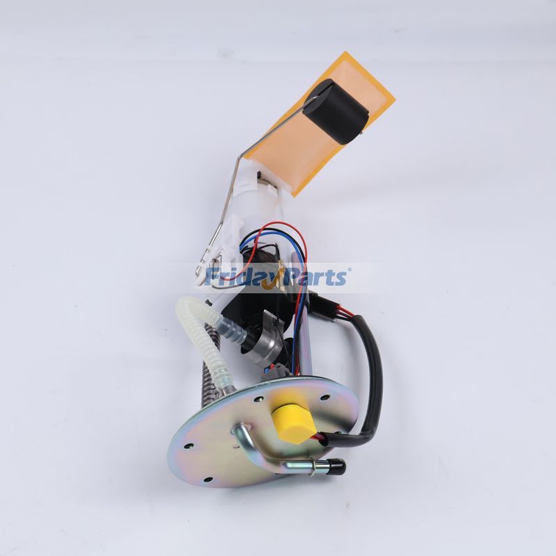 Fuel Pump Assembly in Stock in China