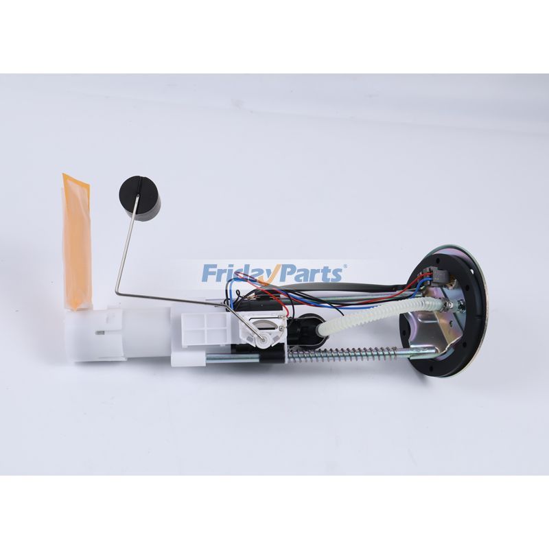 FridayParts Fuel Pump Assembly