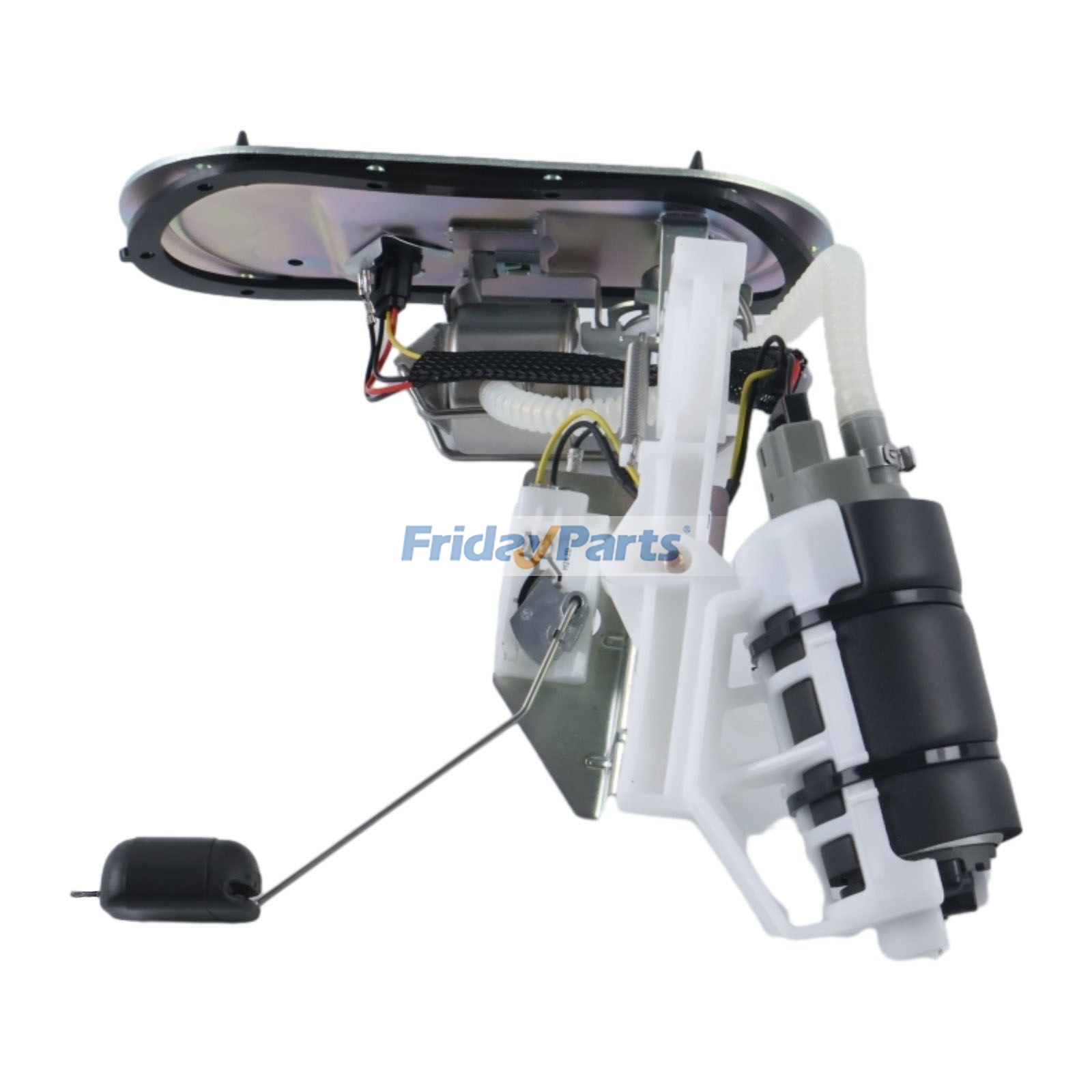 Motorcycle Fuel Pump Assembly