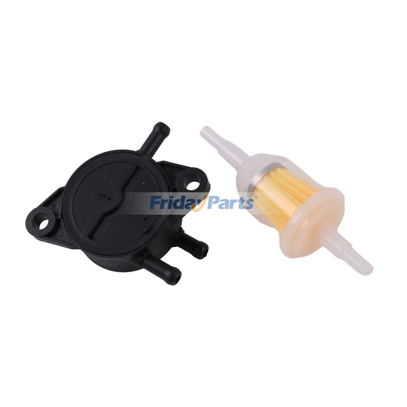 FridayParts Fuel Pump & Filter
