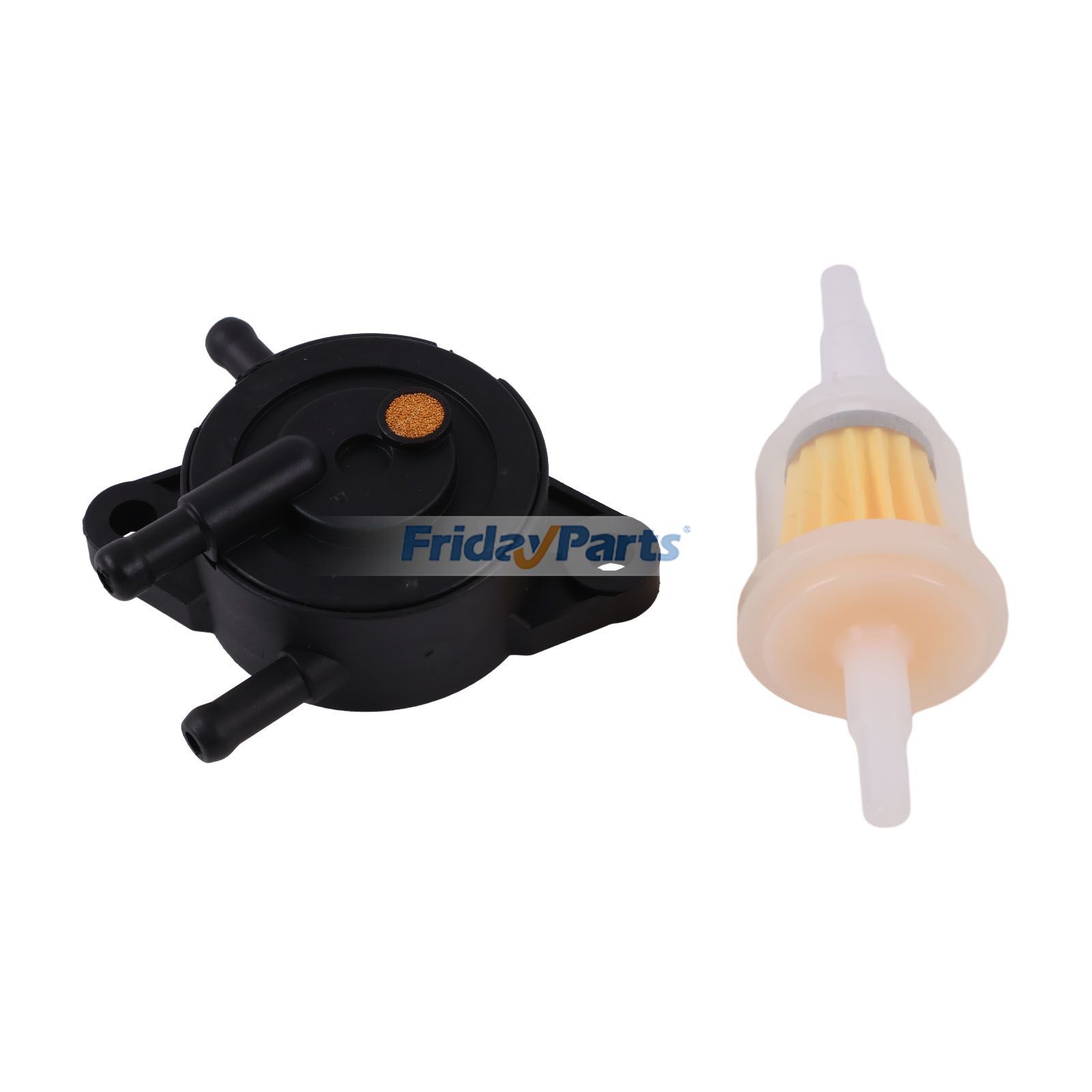 Fuel Pump & Filter for Engine