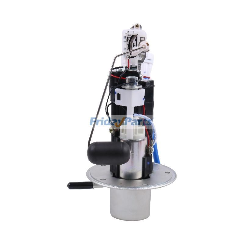 Fuel Pump Module Assembly in Stock in China