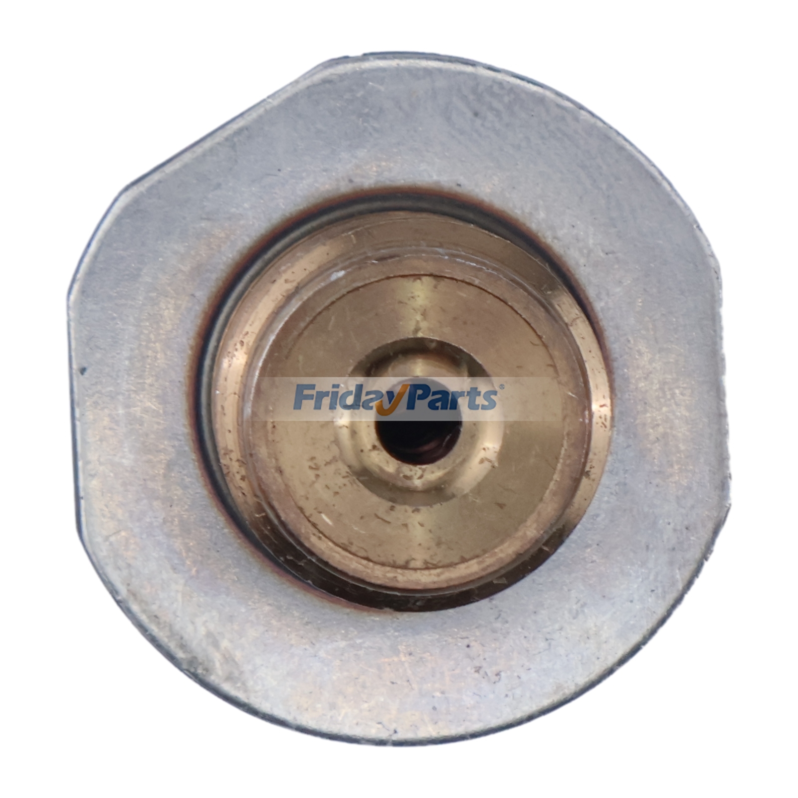 FridayParts Fuel Rail Pressure Valve
