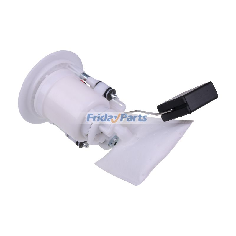 Fuel Pump Assembly in Stock in China,China Stock
