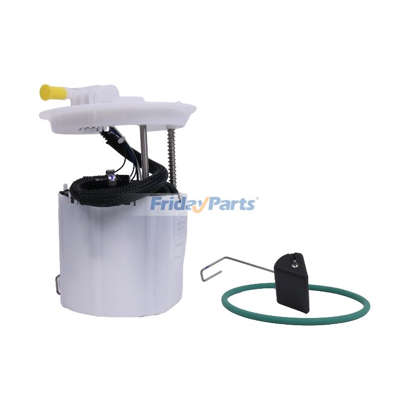 FridayParts Fuel Pump Module Assembly 