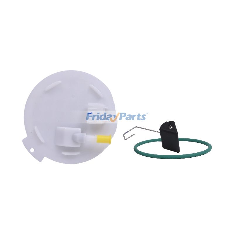 Fuel Pump Module Assembly  in Stock in China,China Stock