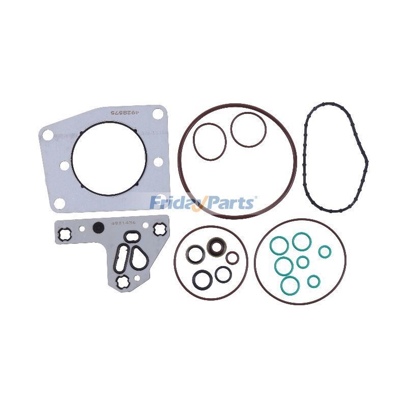 Fuel Pump Repair Kit QSL in Stock in China,USA,China Stock