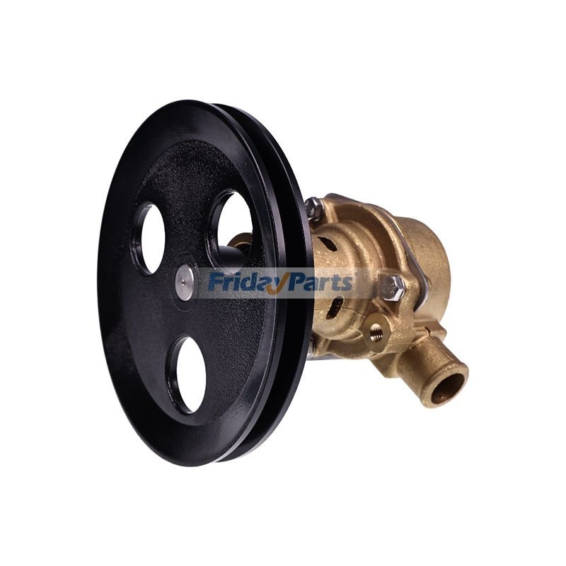G21 G20 GT40 Raw Water Pump RA057007 188300010 for Jabsco Sherwood