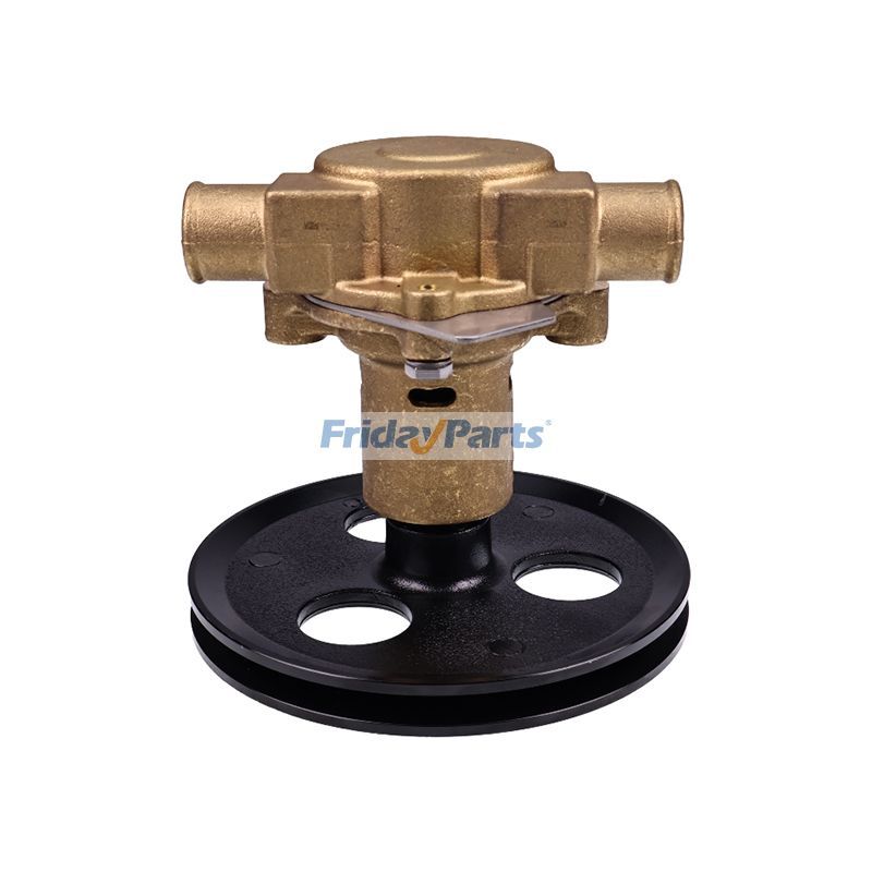 G21 G20 GT-40 Raw Water Pump for Jabsco Sherwood Pleasurecraft Ford in Stock in China