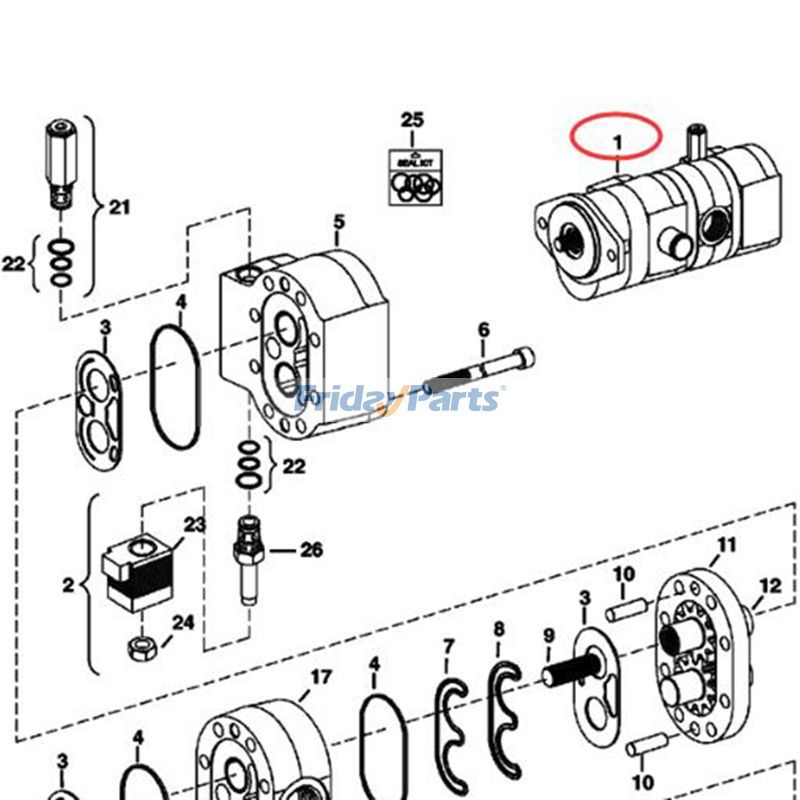 Gear Pump for Loader