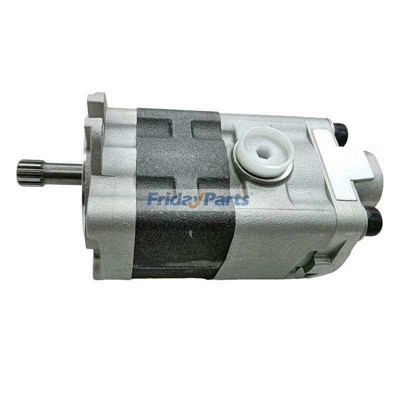 FridayParts Zahnradpumpe