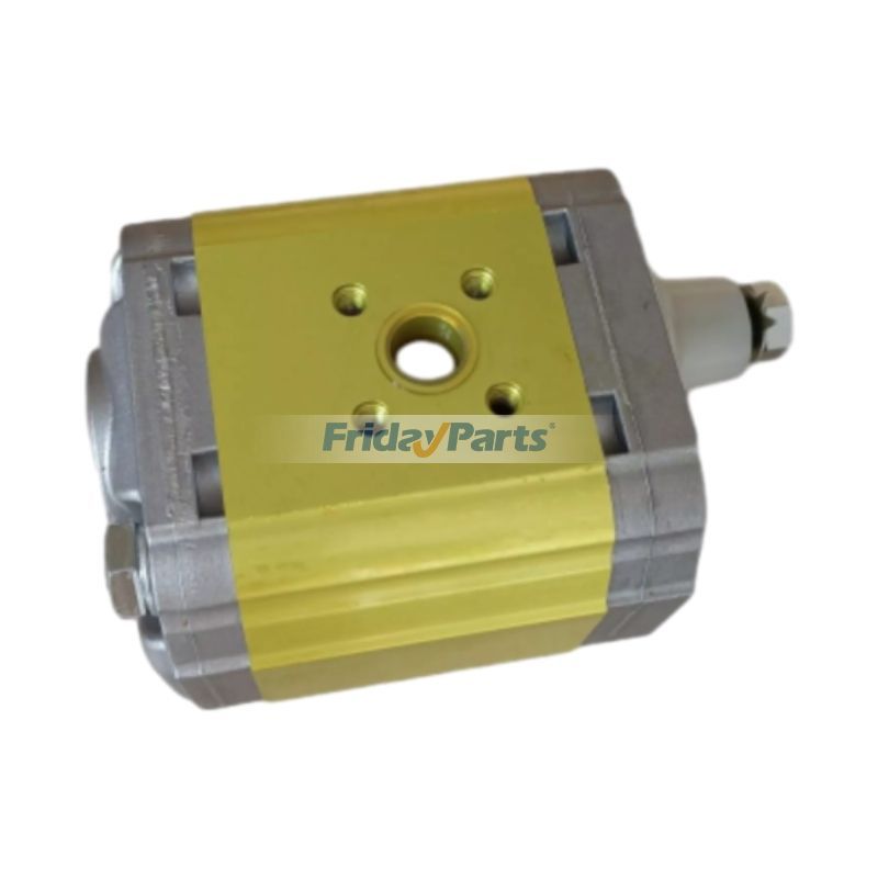 Pompe à engrenages 05813227 pour rouleau vibrant Bomag BW217D BW211D-40