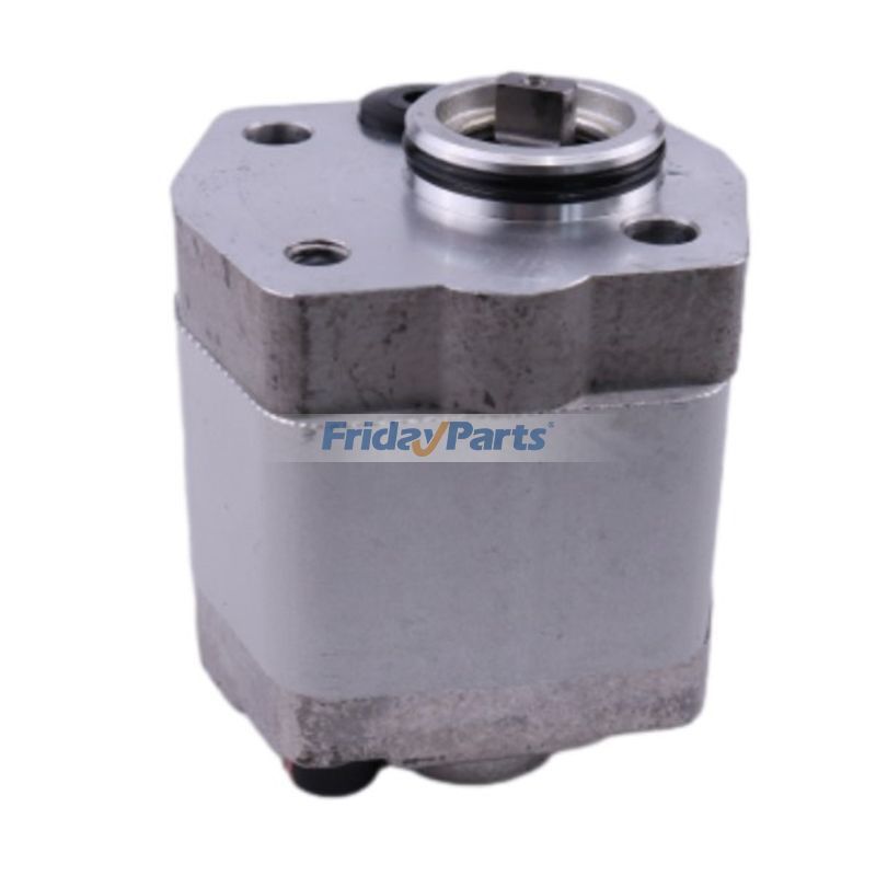 Zahnradpumpefür Hubarbeitsbühnen