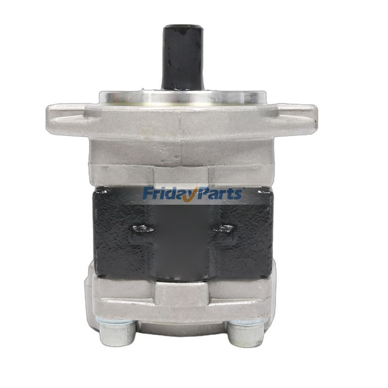 FridayParts Hydraulische Zahnradpumpe