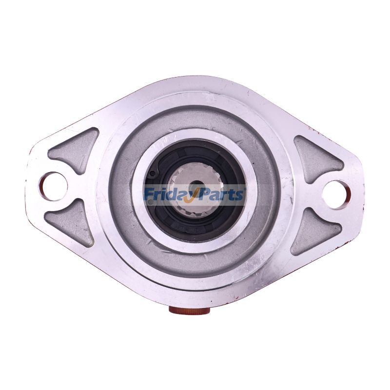 Others Hydraulic Motor