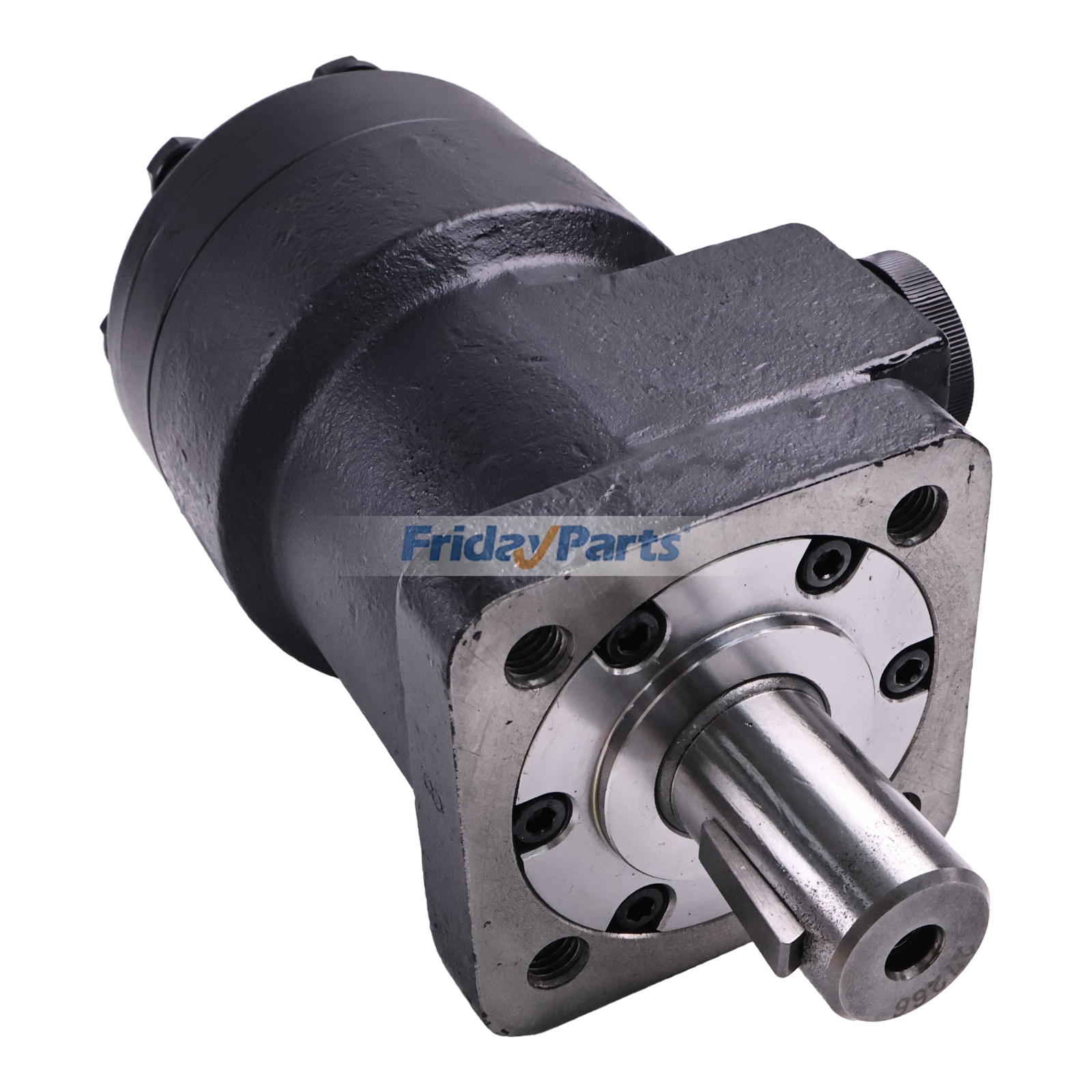 Motore idraulico di FridayParts