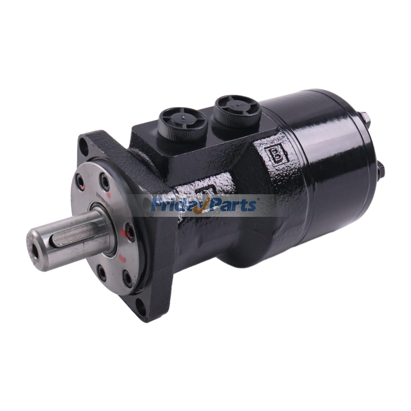 Hydraulic Motor BM1-250-B1PM1N1 for Excavator Harvester Mower