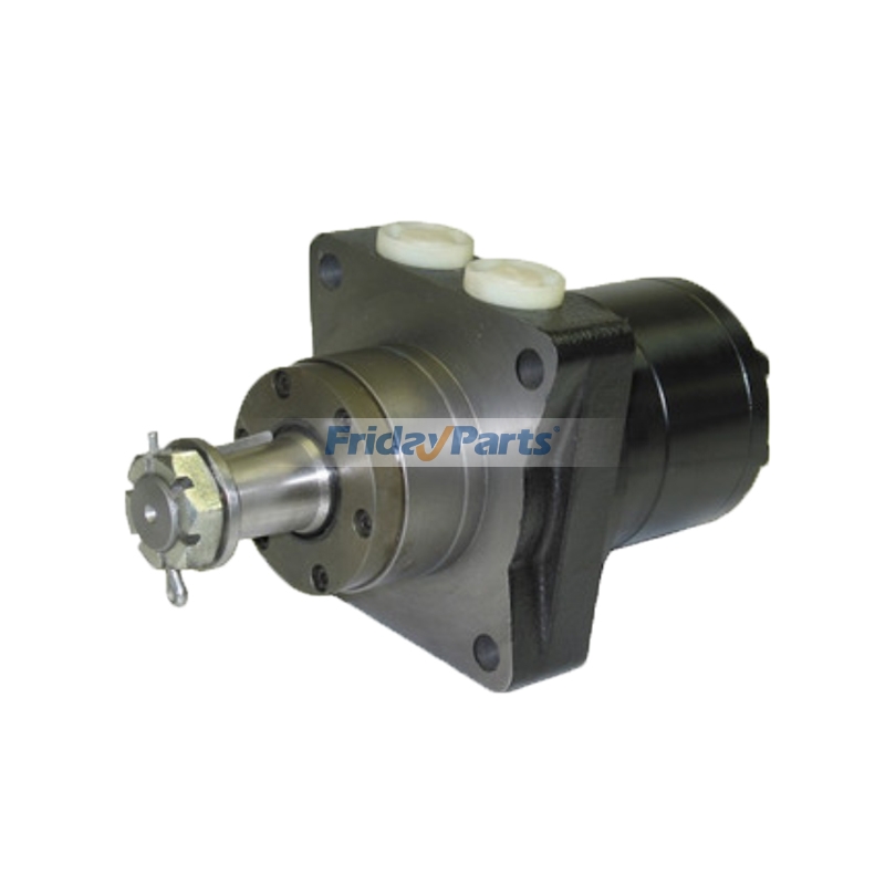 Wymiana silnika hydraulicznego dla Parker TE0100AS250-R BME2-100-HS