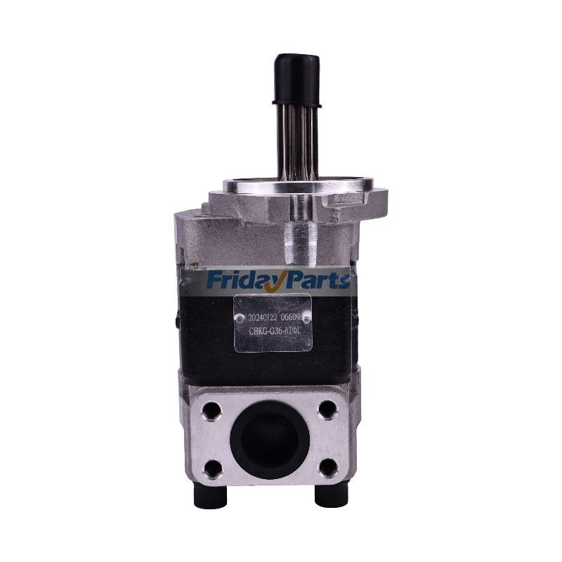  Hydraulic Pump Fork Lift 