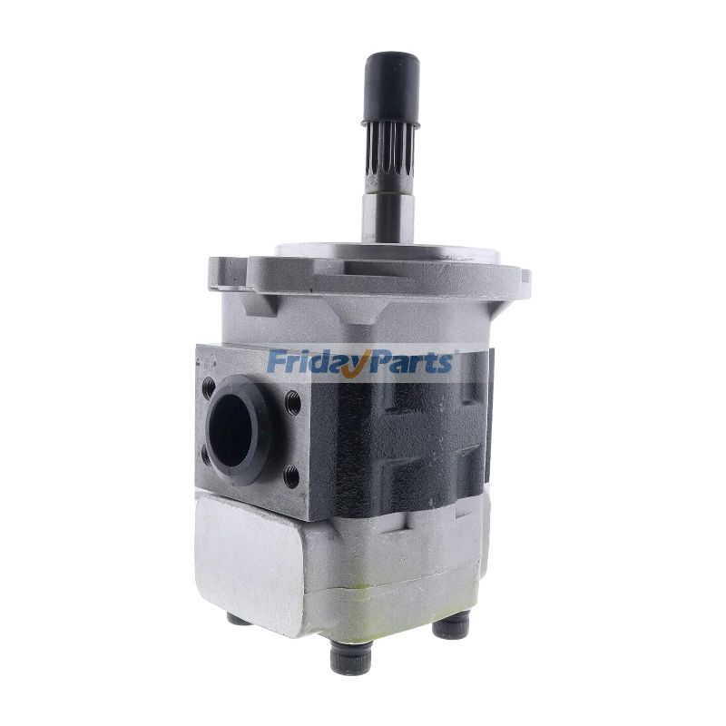 Engine,Forklift Hydraulic Pump