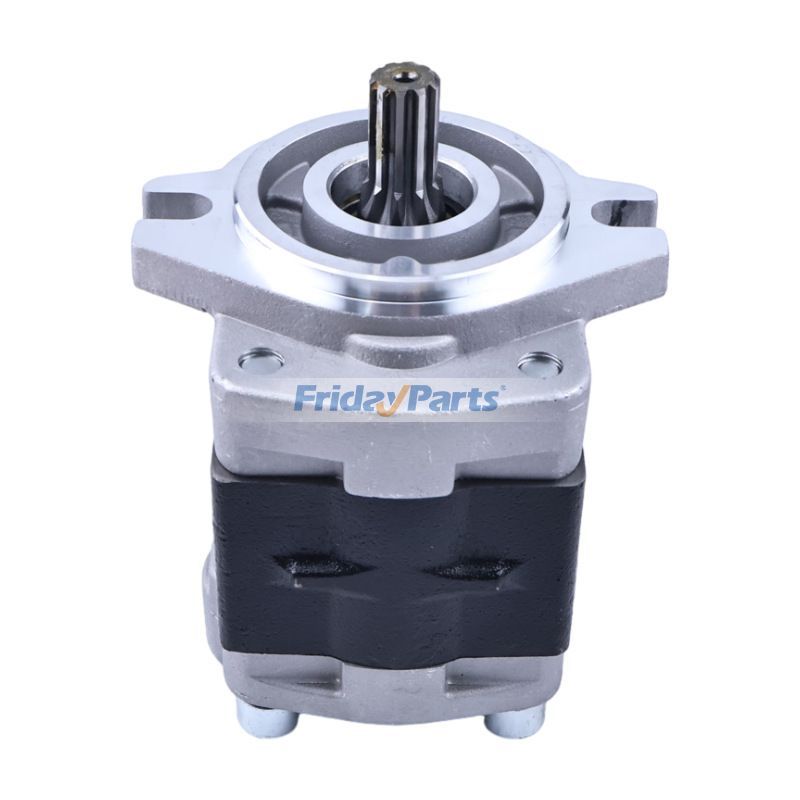 Hydraulische ZahnradpumpeFür TCM