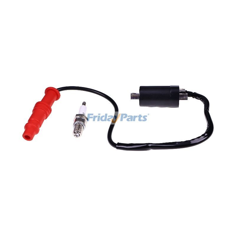 FridayParts Ignition Coil