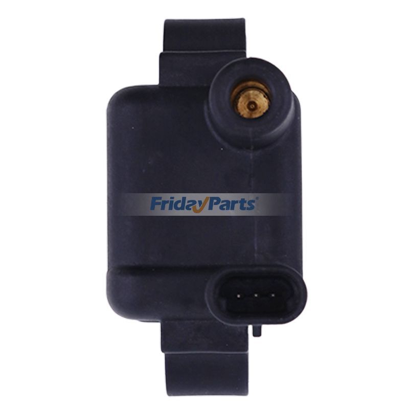 Zündspule für SeaDoo 3D GTX LRV RX XP SportsterFür andere Marken