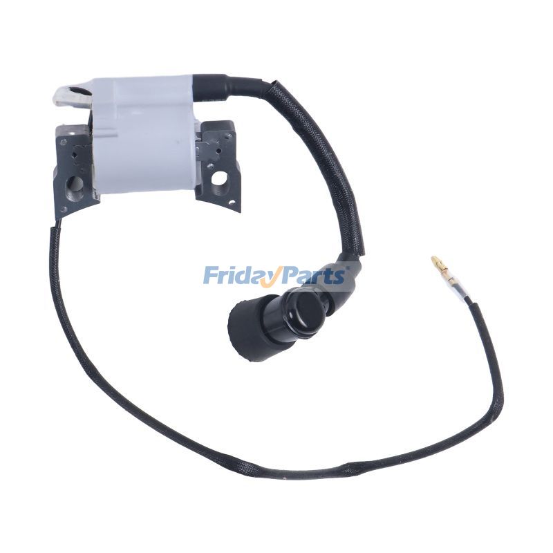 Generator Ignition Coil Assembly