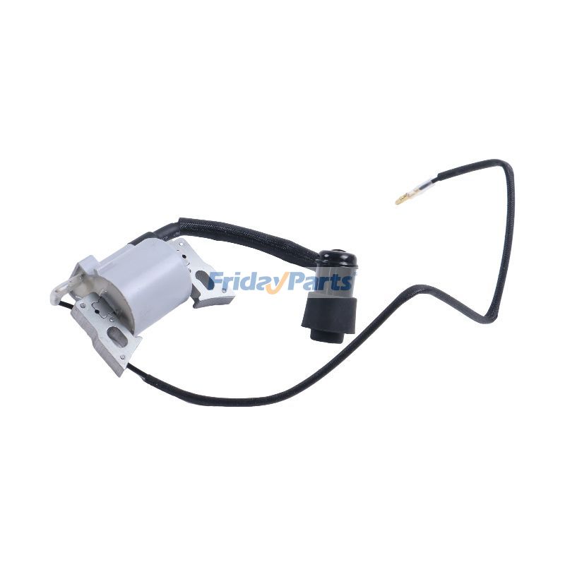 Ignition Coil Assembly for Generator