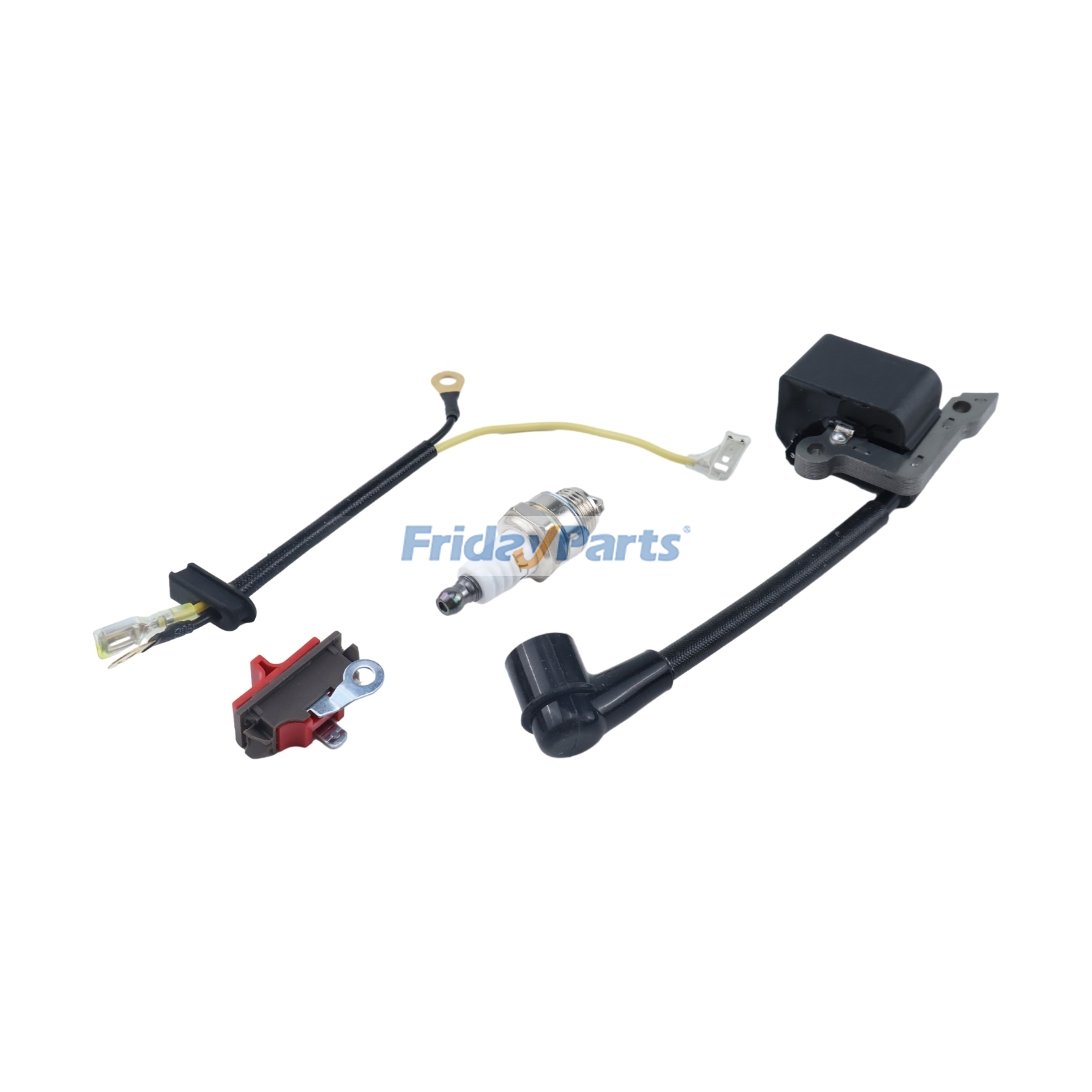 FridayParts Ignition Module Coil Kit