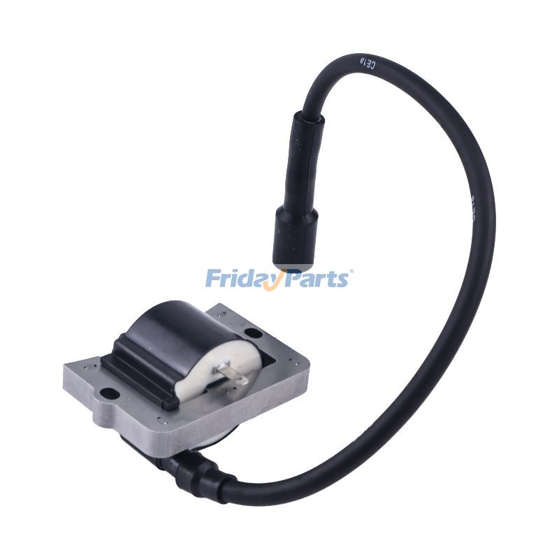   Ignition Coil Module 