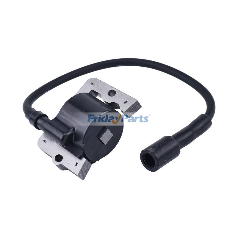 FridayParts  Ignition Coil Module