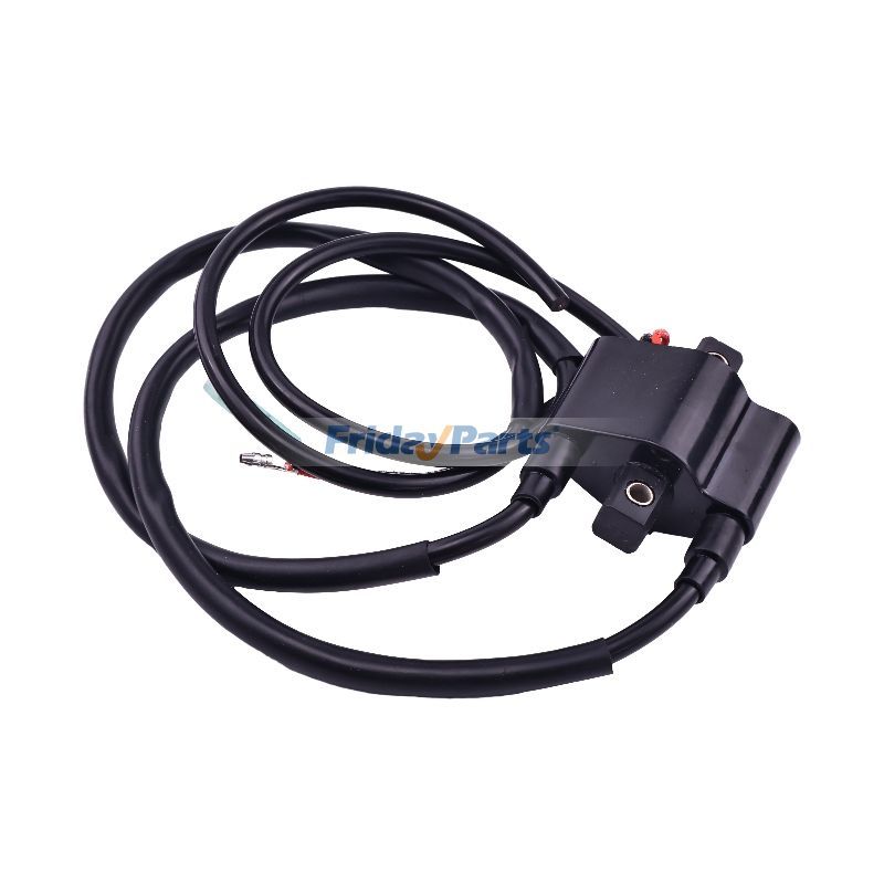 Bobine d'allumage 3005-381 3005-170 pour Arctic Cat Bearcat 340 440 King Cat 900 Mountain Cat 800pourPour Arctic Cat