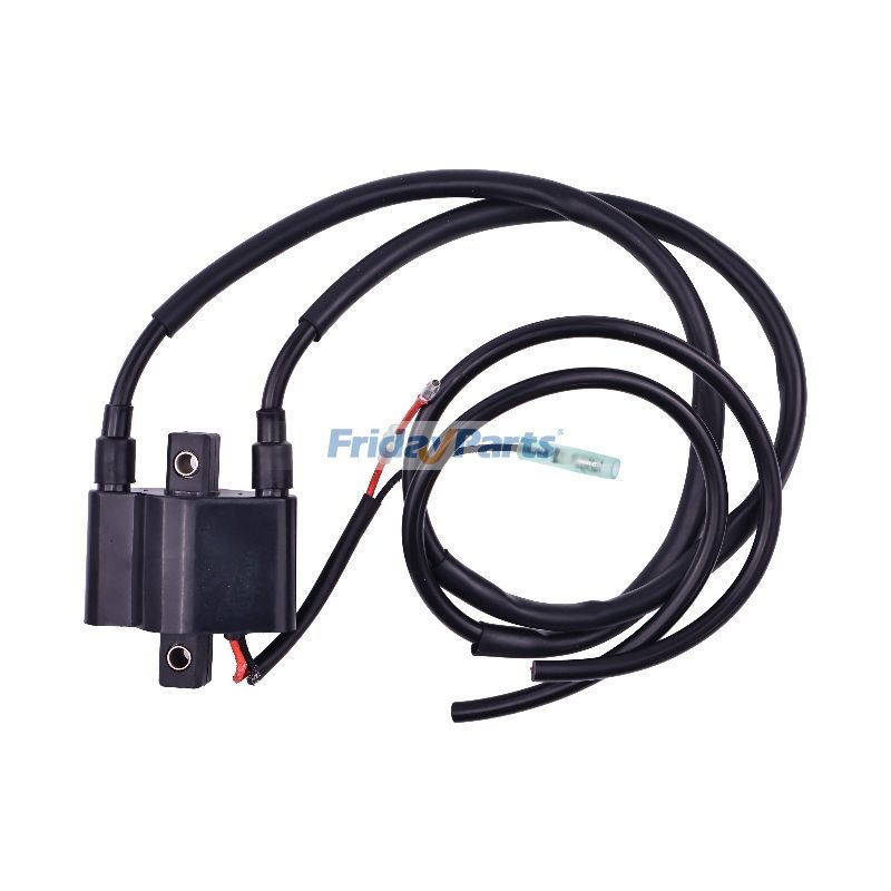 Bobine d'allumage 440 King Cat 900 Mountain Cat 800pour Moto