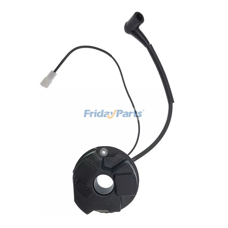 Ignition Coil for Others