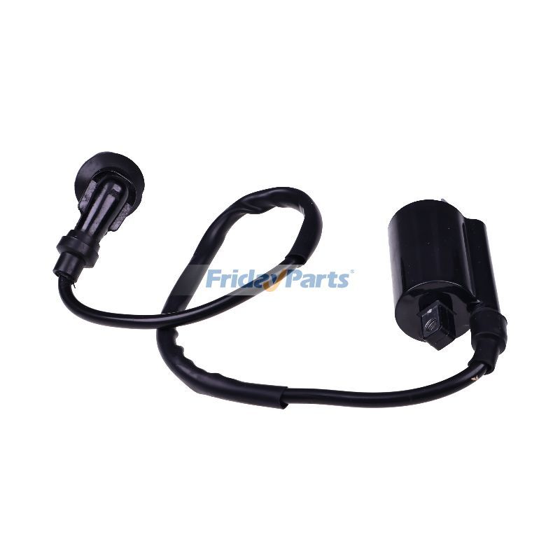 Ignition Coil in Stock in China,China Stock