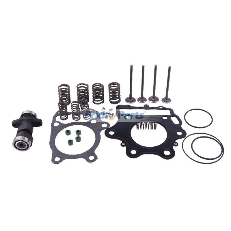 FridayParts Nockenwellen- und Zylinderventildichtungssatz