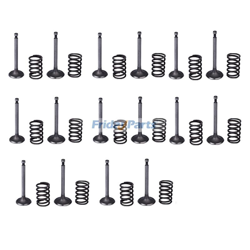 Einlass- und Auslassventil und Federsatz für Yanmar-Motor 4TNV98 4TNV98T