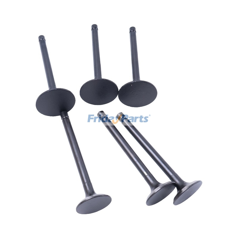  Intake Exhaust Valve For CASE