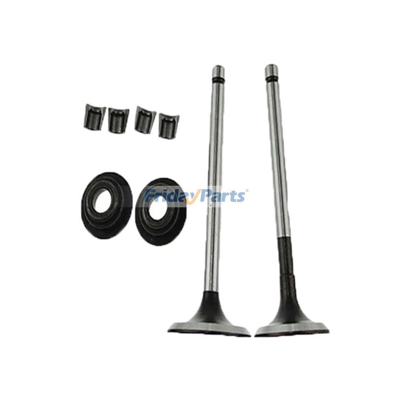 Einlass-/Auslassventilsitz und Kit für Kipor-Motor KM170F