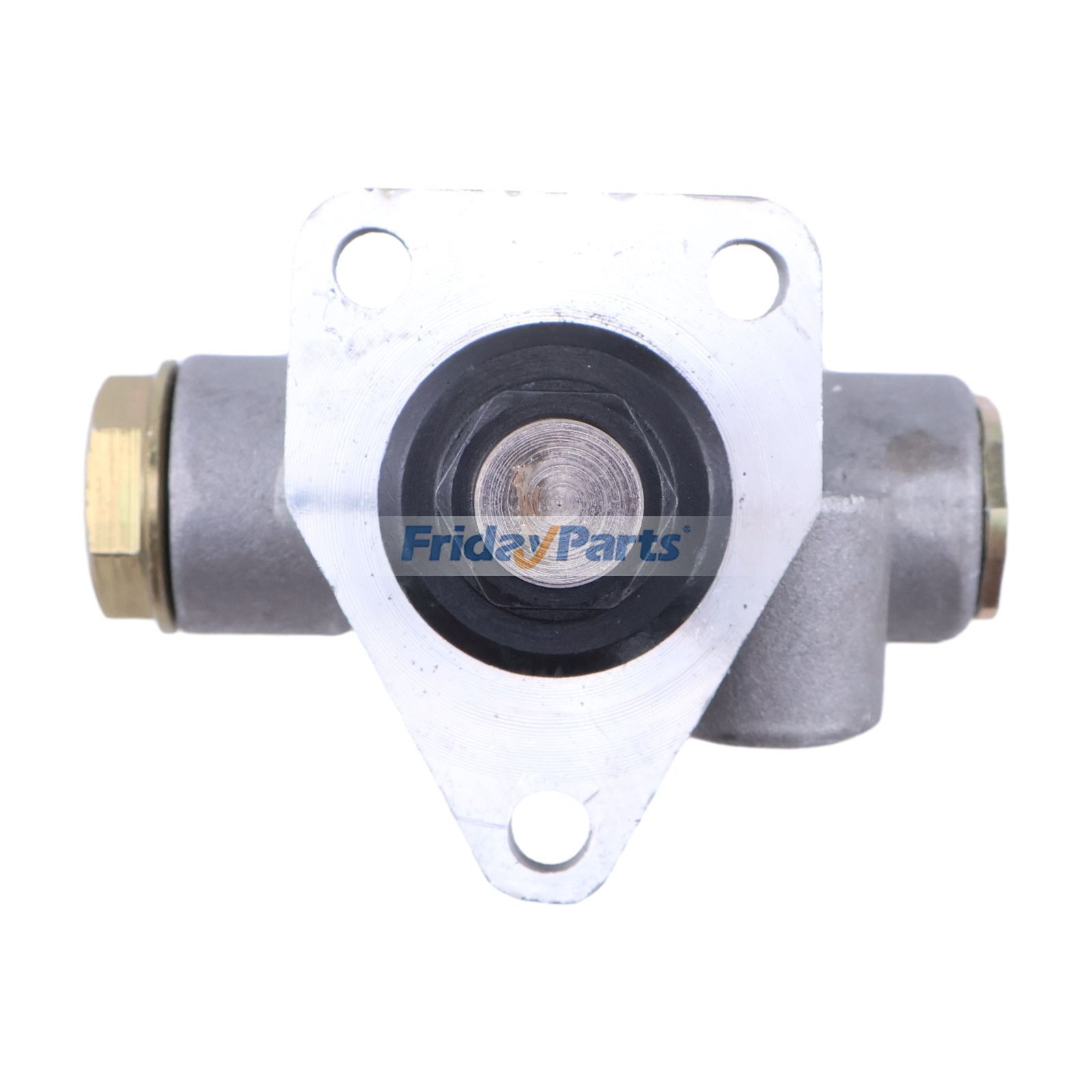Low Pressure Fuel Pump Assembly for Truck
