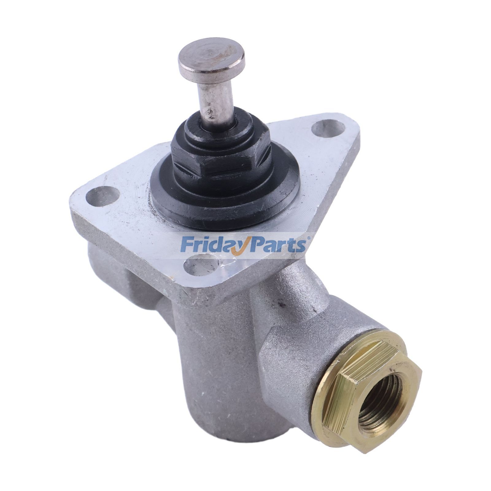 Truck Low Pressure Fuel Pump Assembly