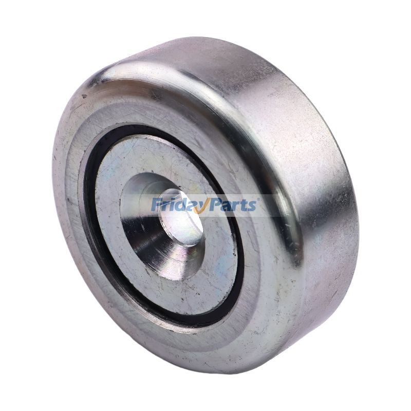 Mast Guide Roller Bearing 529.120.0001 for Princeton Teledyne Forklift